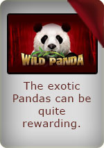 Play Wild Panda Online